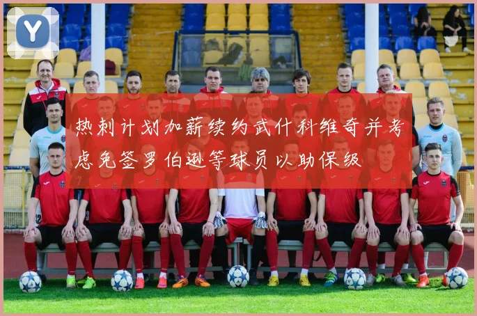 热刺计划加薪续约武什科维奇并考虑免签罗伯逊等球员以助保级